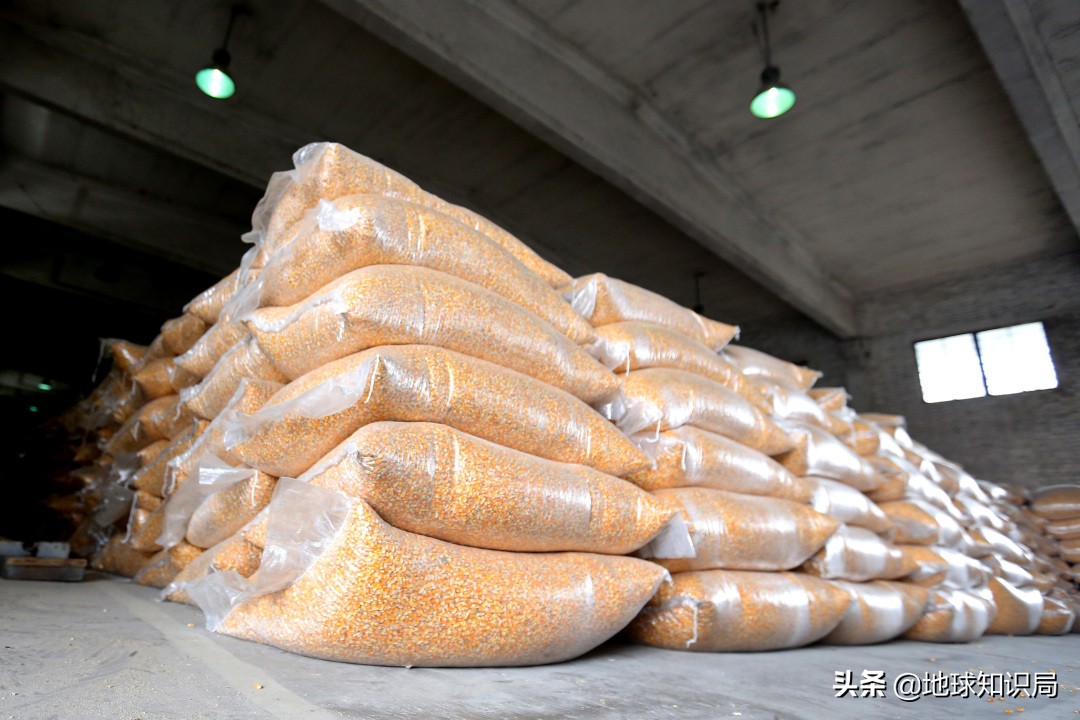 这个中原大省的命运是被什么改变的？地球知识局