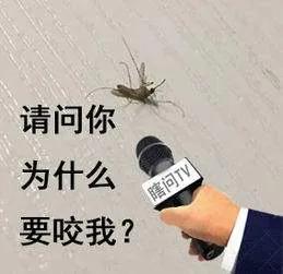 警惕！又到“登革热”高发期，临沂疾控提醒：慎防蚊子“叮！叮！叮！”