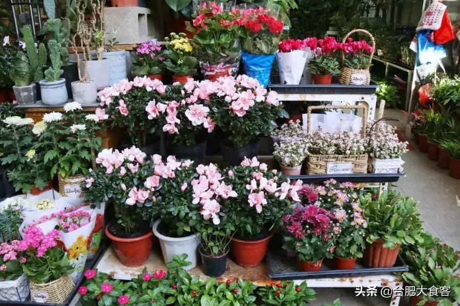 <html>
<head><title>502BadGateway</title></head>
<body>
<center><h1>502BadGateway</h1></center>
<hr><center>nginx</center>
</body>
</html>
<!--apaddingtodisableMSIEandChromefriendlyerrorpage-->
<!--apaddingtodisableMSIEandChromefriendlyerrorpage-->
<!--apaddingtodisableMSIEandChromefriendlyerrorpage-->
<!--apaddingtodisableMSIEandChromefriendlyerrorpage-->
<!--apaddingtodisableMSIEandChromefriendlyerrorpage-->
<!--apaddingtodisableMSIEandChromefriendlyerrorpage-->
