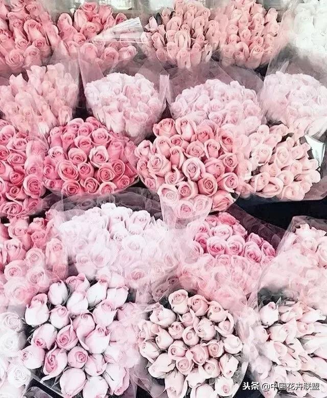 开花店一个月可以挣多少钱,北京开花店一年能挣多钱