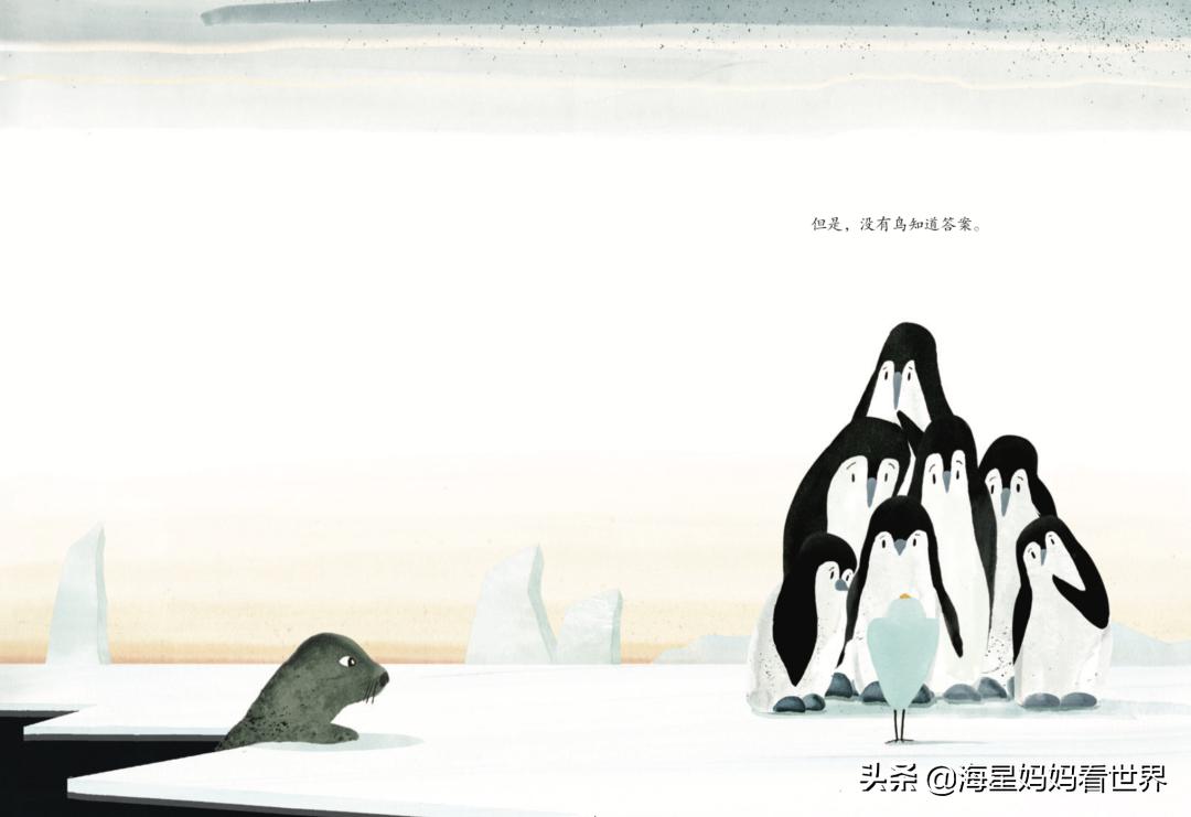 提高3-6岁孩子想象力的绘本,让孩子提升想象力的书