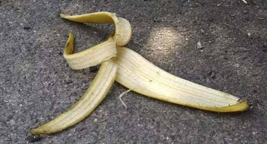 水果皮厨余垃圾是怎么变成肥料的,香蕉皮用来养花的几大作用