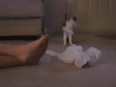 买鞋时，鞋子里“那团纸”不要扔！很多人不懂，难怪鞋子有臭味