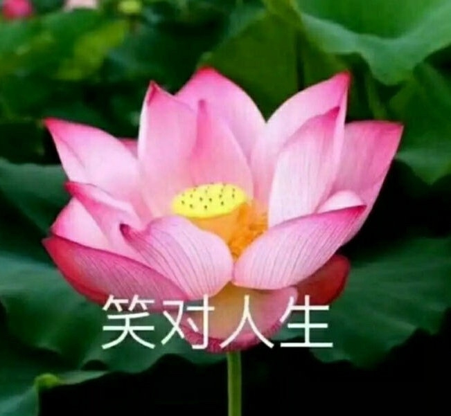 男生对口红品牌的认识,男生对口红颜色的理解