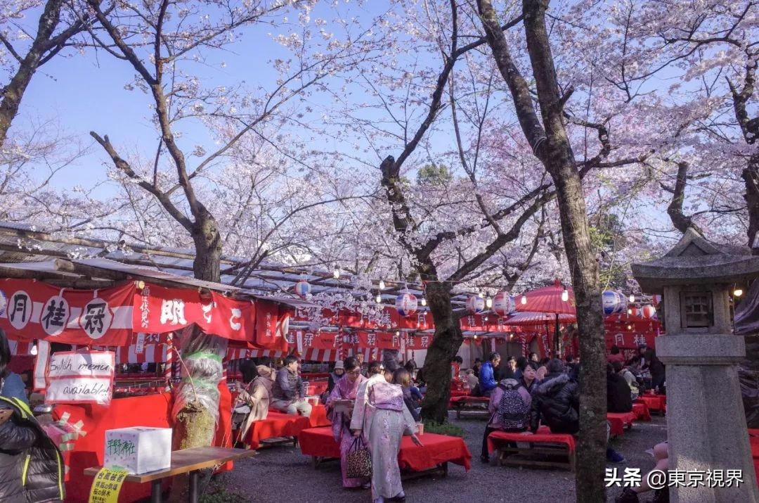 我在京都,攒下一整个春日的绝美樱色送给你。