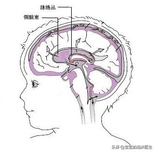 小宝宝的肚子上有一个大泡泡,宝宝脑袋上面痱子一样的小泡泡