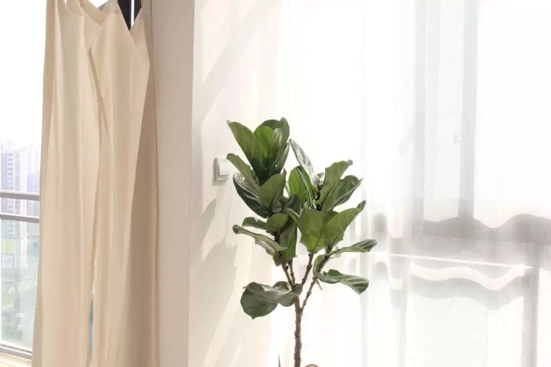 重庆100-200民宿推荐以及价格,100家苍蝇馆子重庆