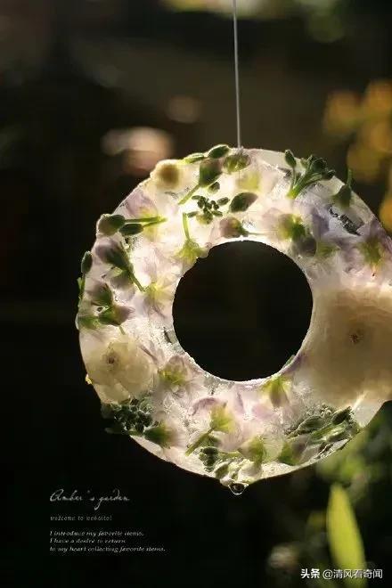 冻冰花美篇,冻冰花的美篇