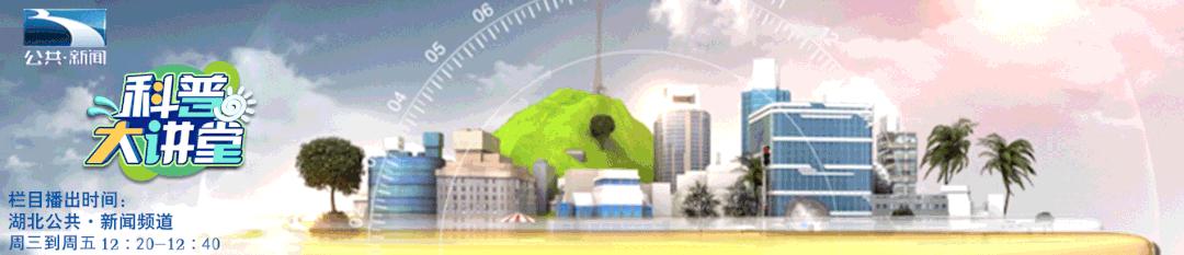 脊髓电刺激术治疗顽固性疼痛,脊髓电刺激术可以恢复运动功能嘛