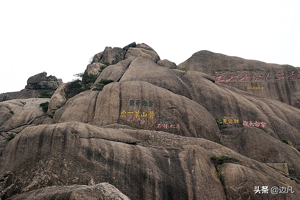 黄山迎客松是真树还是假树,黄山迎客松直播