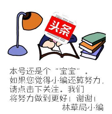 【树木传奇•深度影响中国的树】东方圣者耀中华——公孙树（银杏）