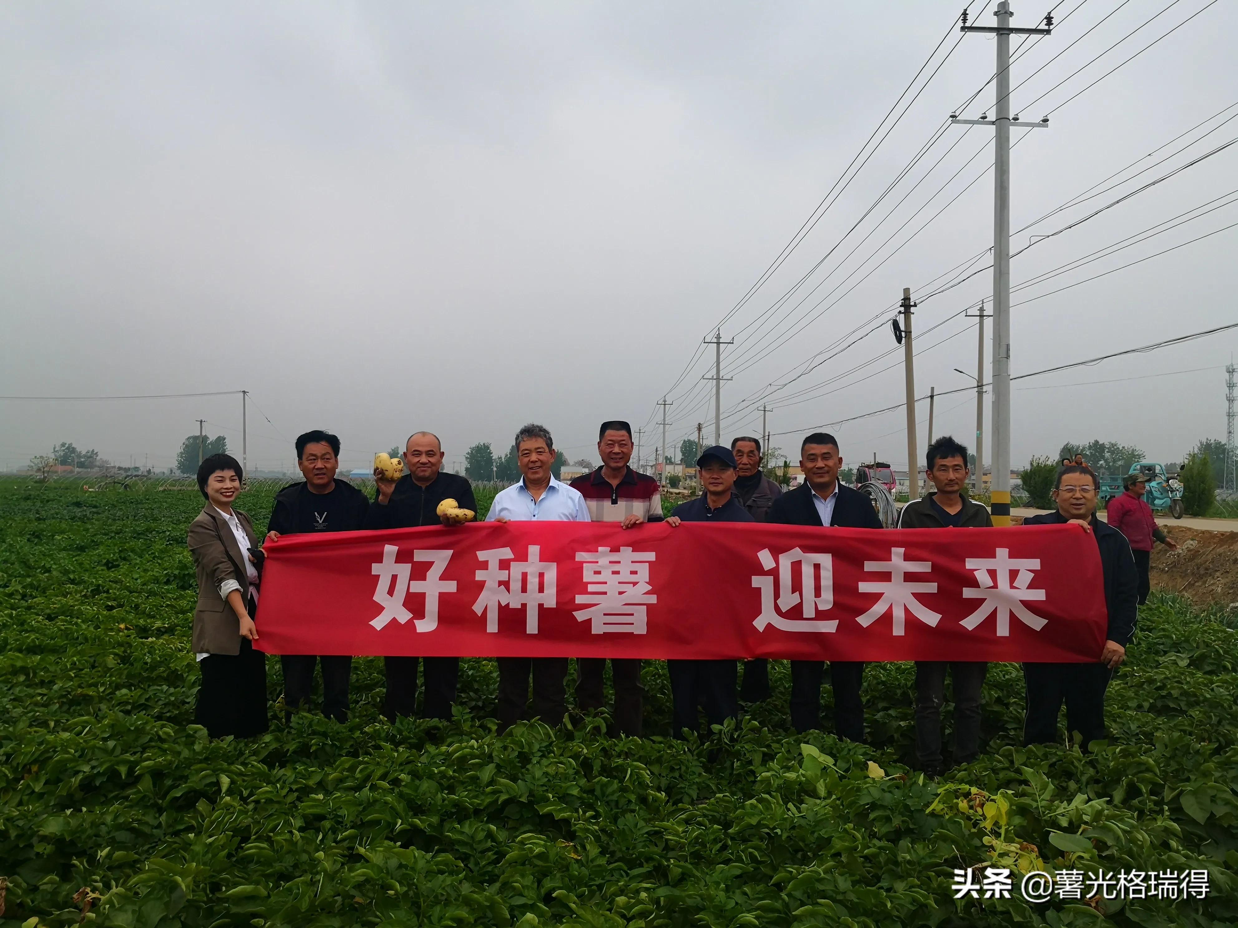 中国马铃薯之乡山东,山东滕州马铃薯之乡