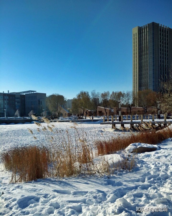 在东北吃饭是一种什么体验,跟东北人吃饭是什么体验