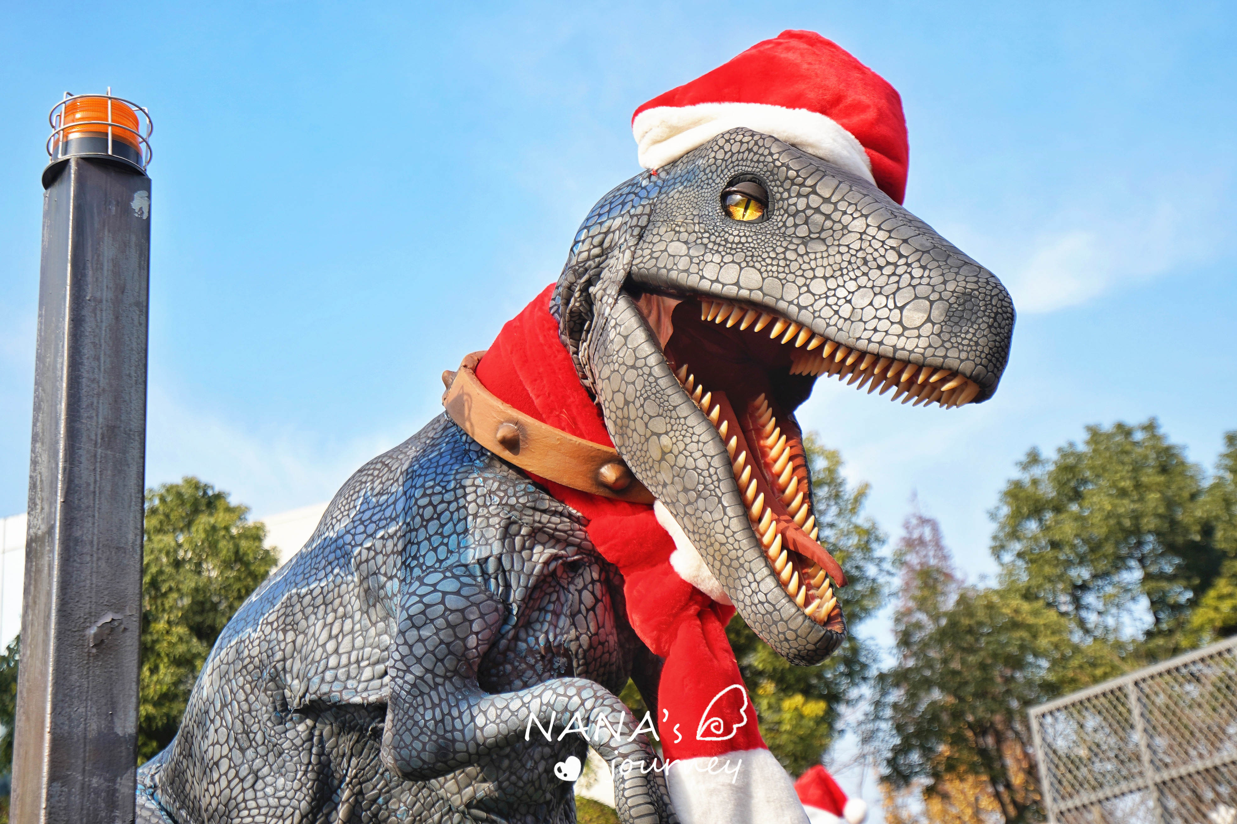 常州恐龙园怎么玩项目,常州恐龙园水世界攻略