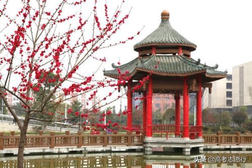 很不错的5所“财经类”院校，适合二本分数较低的高考生参考