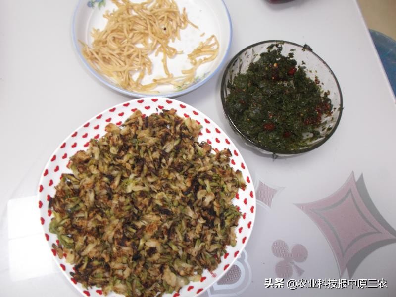 槐花飘香散文集,又是槐花飘香时