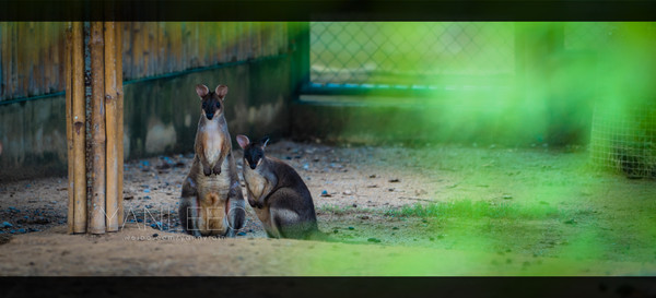 深度玩转泰国攻略,泰国游国际漫游