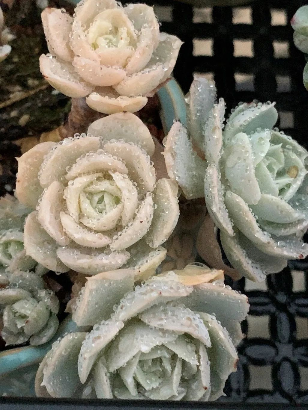 禁足的日子收获颇多,禁足