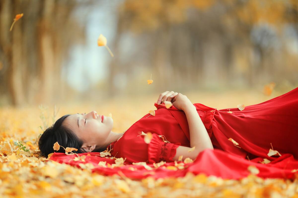 摄影新手如何拍摄照片教程,新手学习摄影入门第一步