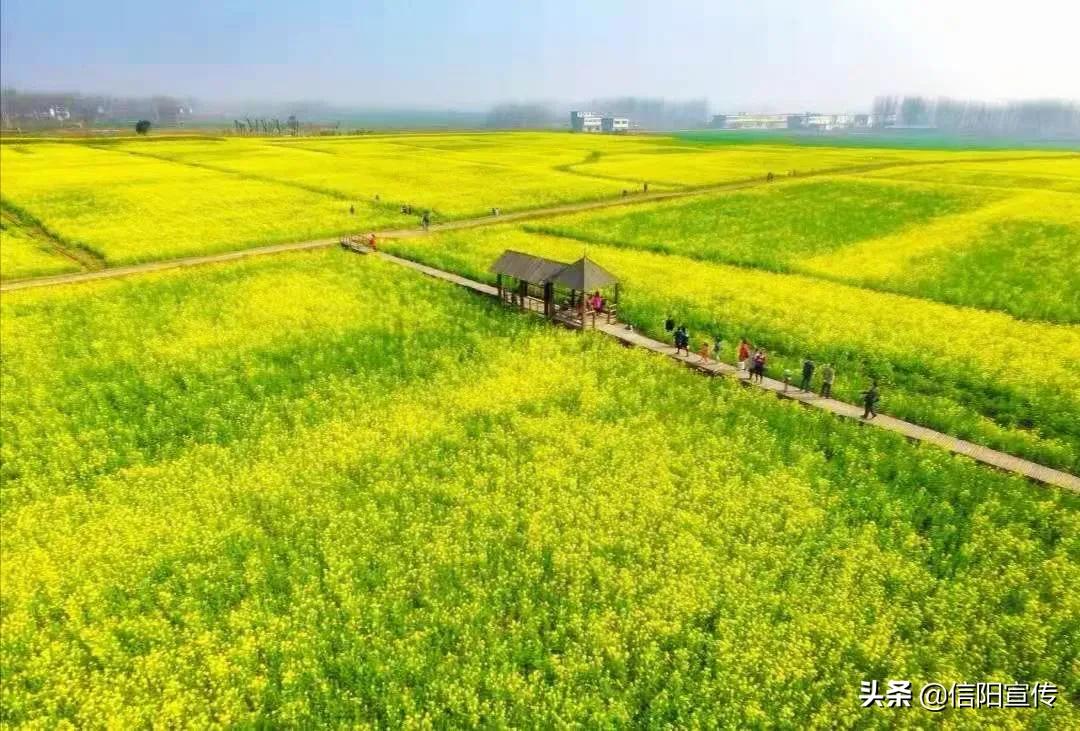 贯彻落实全国宣传部长会议精神,传达学习全省宣传部长会议精神