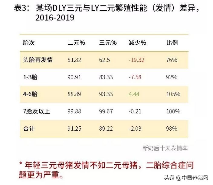 非瘟的养猪方法,非瘟下的养猪人