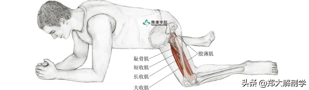 老年人蹲不下怎样锻炼,老年人蹲不下去了怎么办