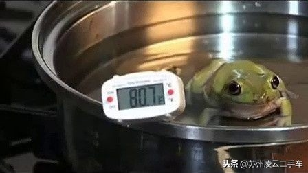 温水煮青蛙的骗局,深度还原二手车贷款套路