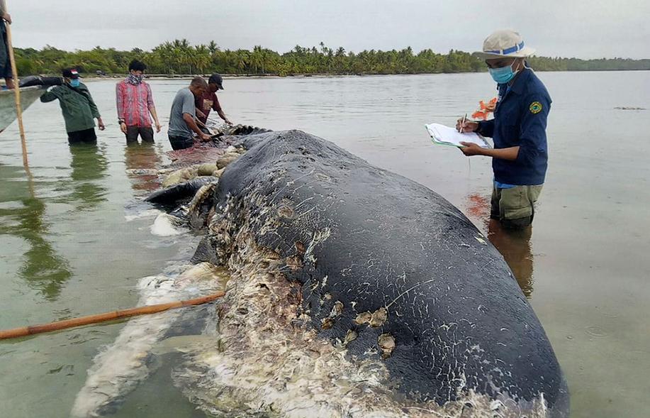 昆山奶茶品牌有哪些,昆山什么奶茶最好喝
