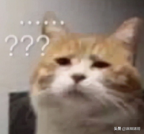 劳斯莱斯请“网红”夫妻,劳斯莱斯请了两个网红是谁