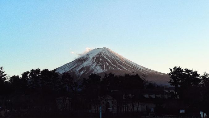 王思聪李易峰综艺节目,王思聪李易峰玩游戏