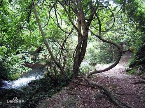 江湖夜雨十年灯怎么翻译,江湖夜雨十年灯古诗