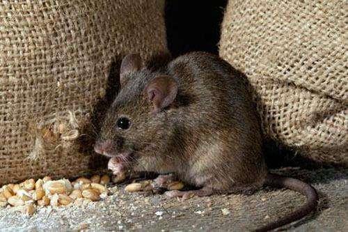 葡萄酒的十大尴尬问题,葡萄酒的十二种缺陷