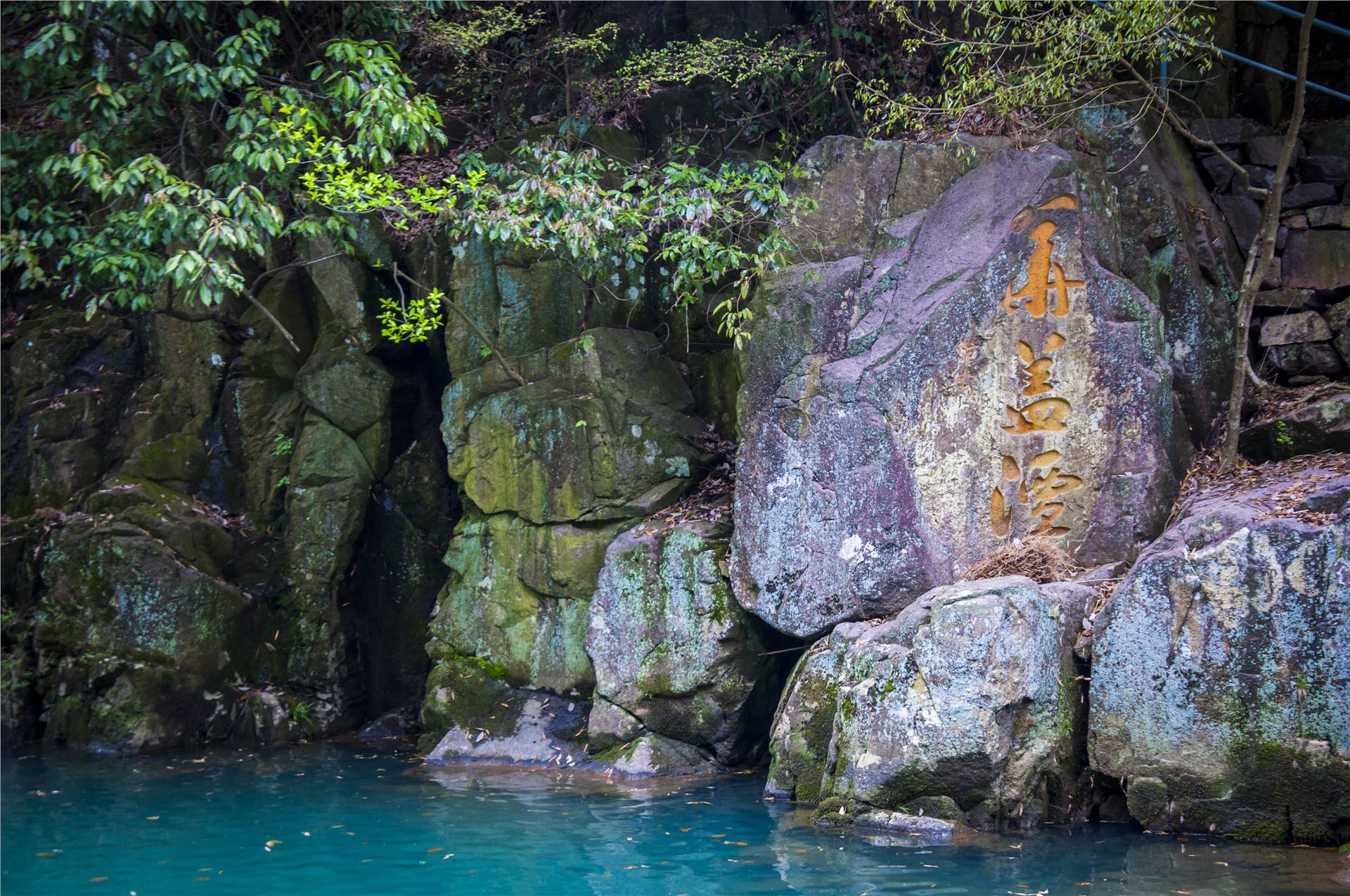 丹山赤水的老柿林景区,丹山赤水柿林古村