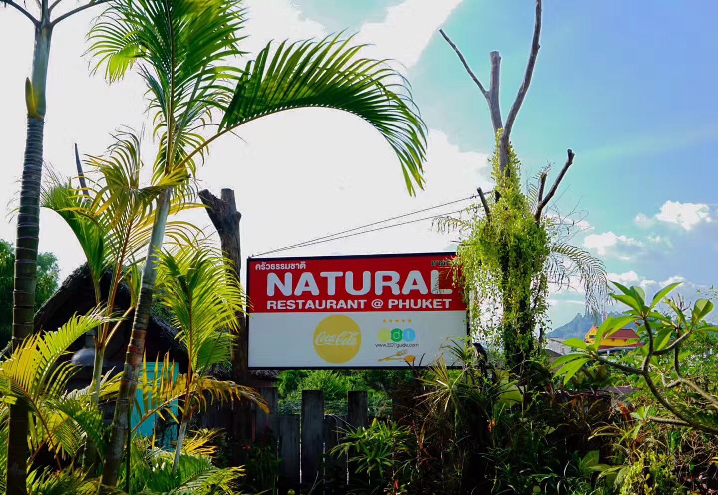 普吉岛夜晚攻略,普吉岛值得去的地方