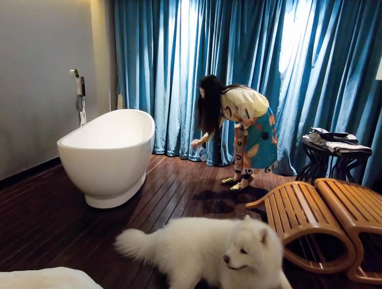 「第四期」一辆房车，三只毛孩子，三个姑娘，9476公里奇遇记