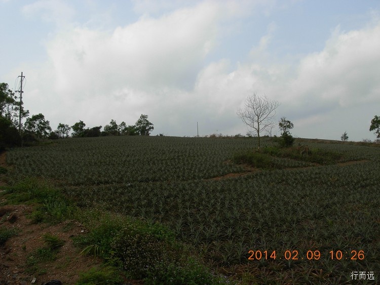 海南环岛骑行的结束感悟,环海南岛骑行中线和西线