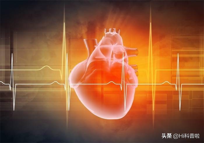 第四代磁悬浮人工心脏人民日报,中国成功研制出磁悬浮心脏了吗