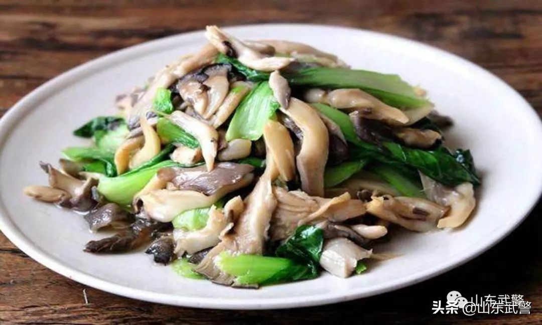 冬眠没完成怎么补救,进入冬眠的最佳方法