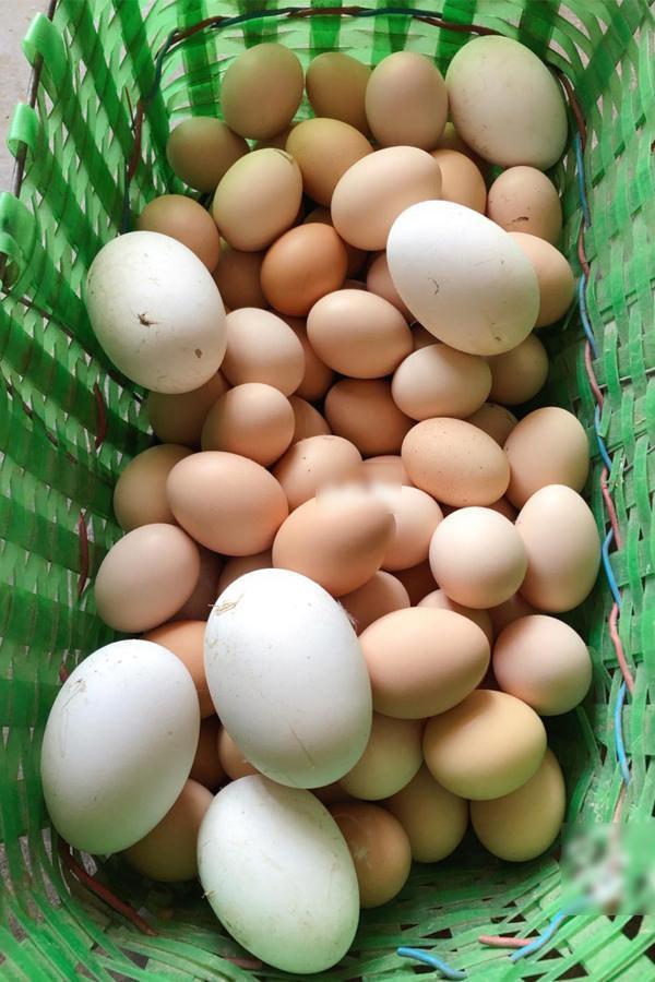 家里的wifi密码被人修改了怎么办,家中的wifi密码被人修改了怎么办