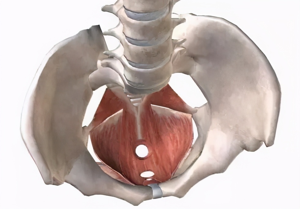 生三胎对孩子的影响,如果生三胎会怎么样