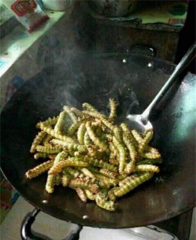 童年被洋辣子蛰过,蚂蝗小时候的噩梦