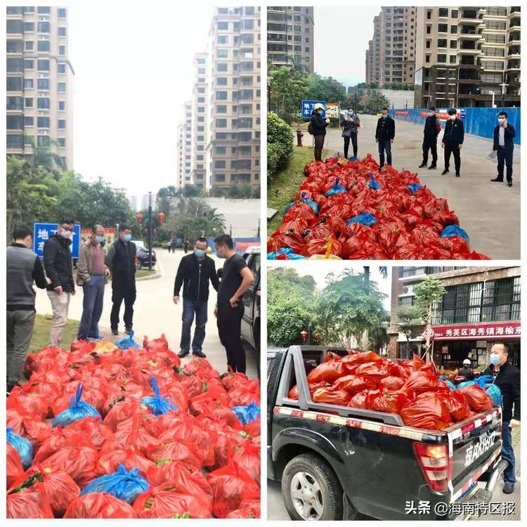 12小时内实现蔬菜从田间地头直供餐桌！“蔬菜直通车”让海口市民足不出户吃上放心菜