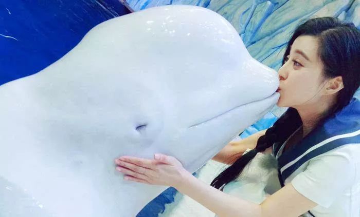 珠海酒店推荐性价比高便宜靠长隆,珠海长隆住哪个酒店性价比比较好