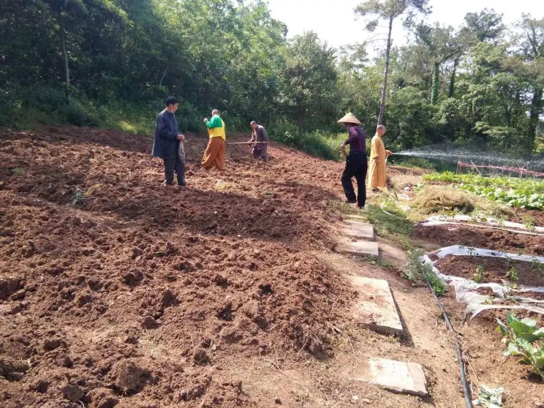 抢抓农时开展农业生产,农民纷纷抢抓春耕生产有利时机