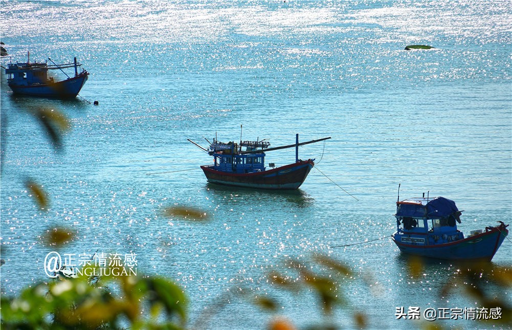 芽庄印象｜|想说爱你不容易