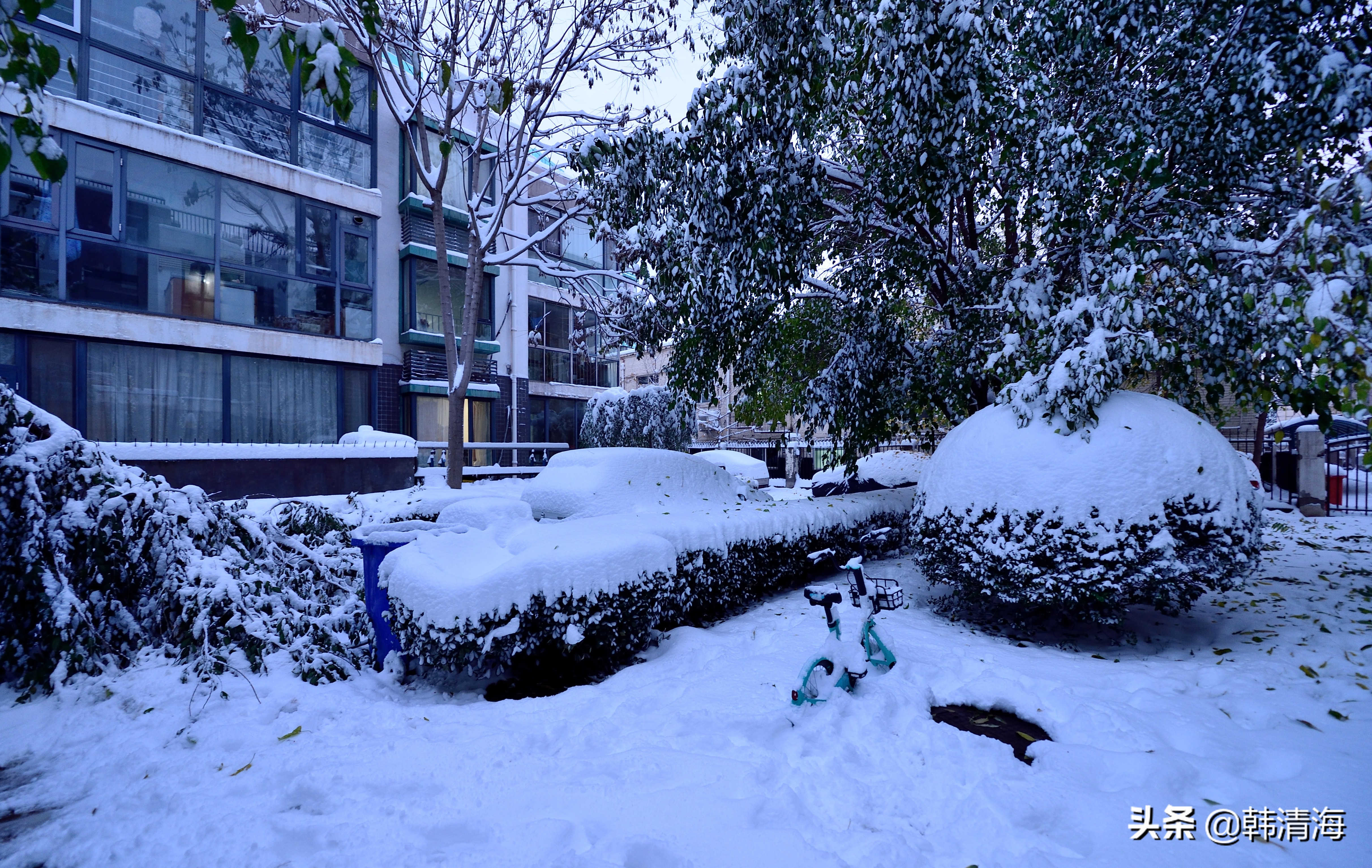 2021天津第一雪水畔花园小区装扮得更加圣洁和美丽