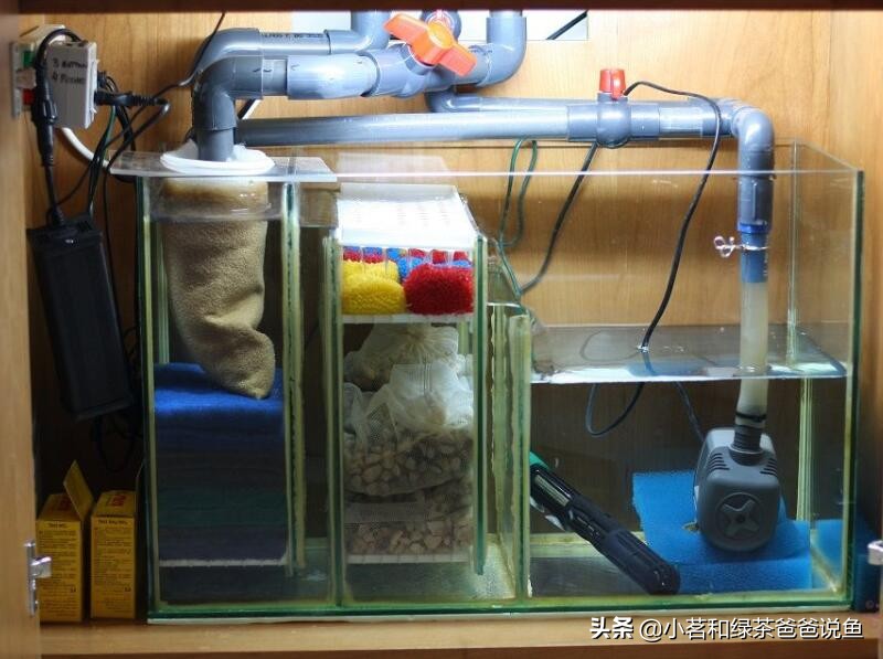 鱼缸上过滤系统和下过滤的区别,养观赏鱼的过滤方法视频教程全集