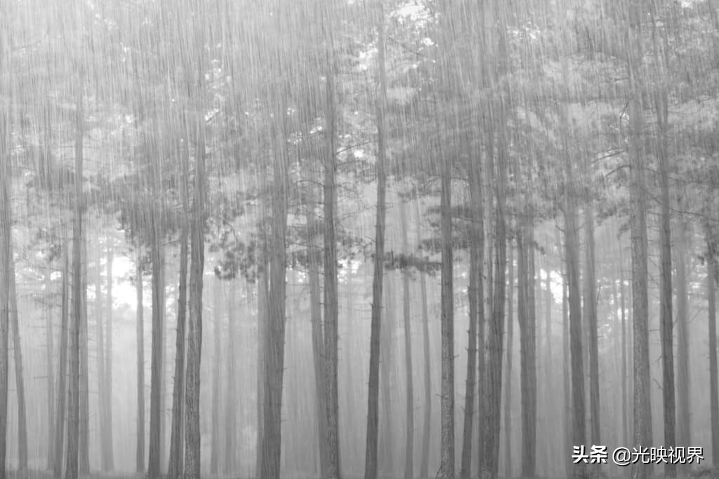 有关雨的美图,雨总能带给人直观的感受