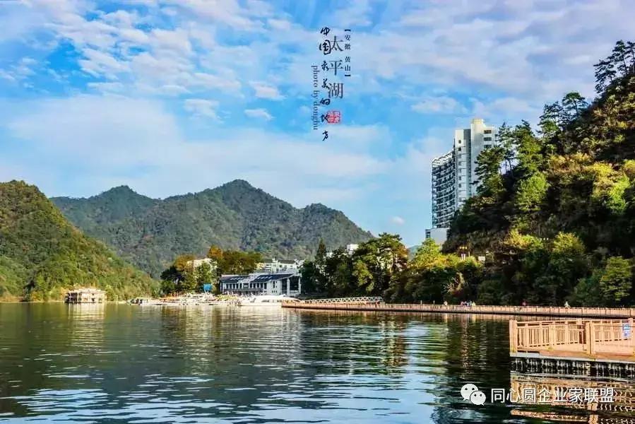 同心圆企业家联盟视频,企业家联盟2019