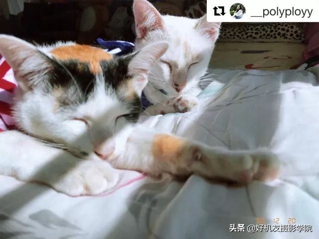 胶片怎么拍出震撼的感觉,什么相机拍出胶片质感